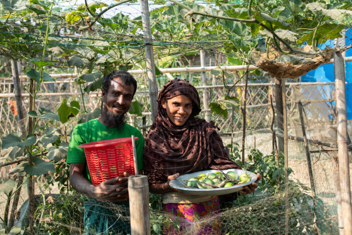 Bangladesh. Vertical gardening changing the landscape of Rohingya camp