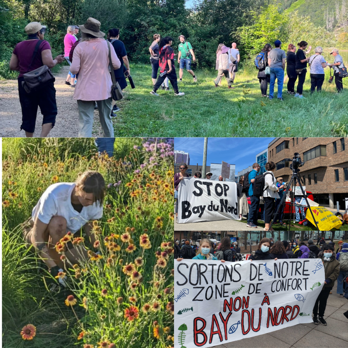 Événements du Sierra Club Canada