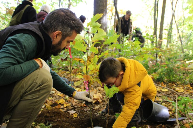 Plantation d'arbres indigènes sur le mont Royal- Les Amis de la montagne