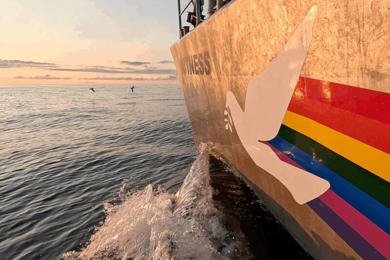 Greenpeace ship with rainbow dove logo sailing at sunrise, symbolizing global ocean protection and environmental activism.